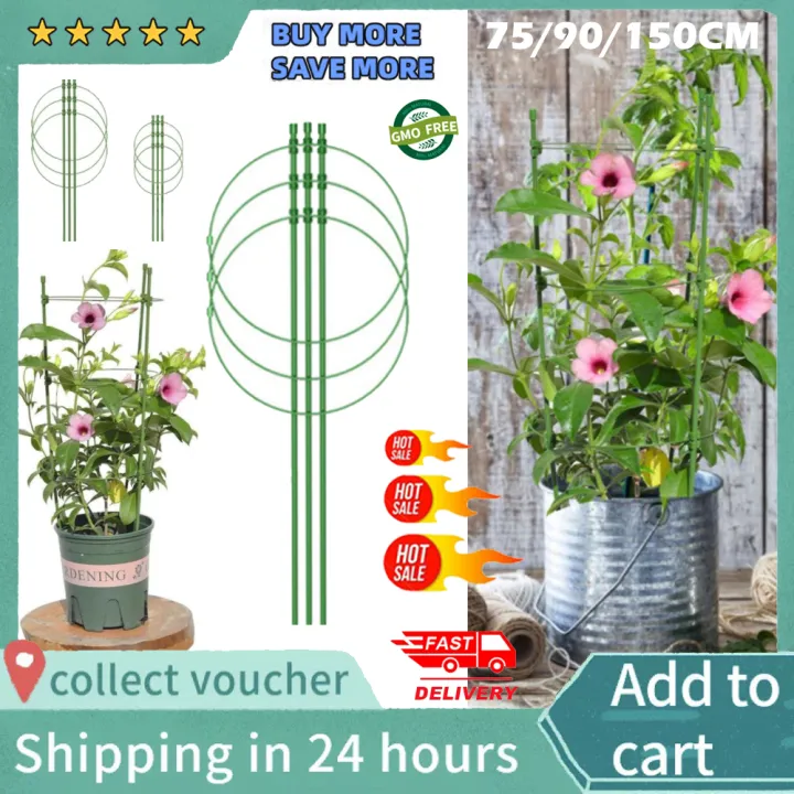Ready Stock 100 Original 75cm 90cm 150cm Plants Climbing Frame Flower Stand Gardening Supplies Plant Rack Potted Support Pot Lazada Singapore 150cm Plants Climbing Frame, Outdoor Flower Stands Suppliers