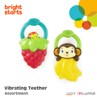 Vibrating Teether Assortment