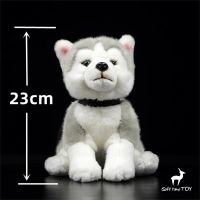 สุนัขฮัสกี้ความแม่นยำสูงของเล่นตุ๊กตาสุนัขน่ารัก Plushie Eskimo เหมือนจริงสัตว์จำลองตุ๊กตายัดไส้ Kawai ของขวัญของเล่นเด็ก2023ใหม่