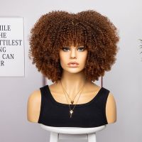 16 inch Curly Afro Wigs For Black Women Short Kinky Curly Wigs With Bangs Brown Afro Hair Synthetic Fibre Glueless Cosplay Hair Wig  Hair Extensions P