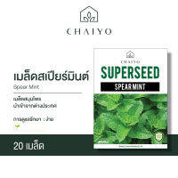 เมล็ด SPEAR MINT สเปียร์มินต์