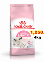 Royal canin Mother&amp;Babycat 4kg สูตรแม่แมวและลูกแมว Exp.08/2024