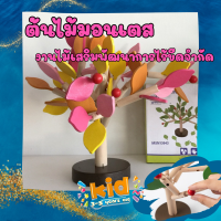 ของเล่นไม้ บล็อคไม้ Leaf Tree Set ของเล่นต้นไม้ ของเล่นเสริมพัฒนาการ ของเล่นไม้มอนเตสเซอรี่