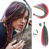 Fake Feather Hair Extension without Hair clips 10 Pieces Stands of Hair on Colorful false Kanekalon for Hair Extensions Wig  Hair Extensions  Pads