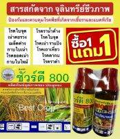 ชัวร์ดี 800 แถม แซดเอ็กซ์ตร้า75 สารสกัดจากจุลินทรีย์ชีวภาพ ป้องกันและควบคุมโรคพืช ที่เกิดจากเชื้อราและแบคทีเรีย กาบใบเน่า โรคเมล็ดด่าง