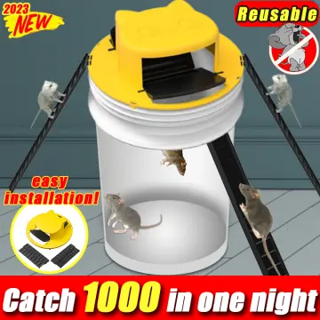 ROLLER SLIDE LID RAT CATCHING RAT TRAP MOUSETRAP MOUSE BUCKET