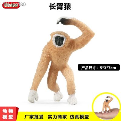 🎁 ของขวัญ Children simulation model of wildlife gibbon ape monkey solid plastic toys furnishing articles hands do