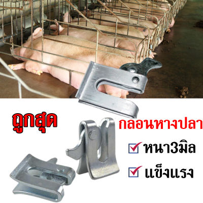 ส่งเร็ว กลอนหางปลา กลอนประตูหมู ตัวล็อคประตูหมู สุกร โลหะ ไม่เป็นสนิม หนา3มิล 4.5มิล เลือกได้