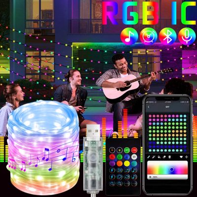 RGBIC Smart LED String Lights for Home Outdoor Corridor Decoration USB Fairy Lights with App Control Holiday Multi-Color Garland Fairy Lights