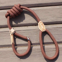 P Chain Dog Leash Slip Collar สัตว์เลี้ยงเดิน Leads ไนลอนสุนัขปีนเขาเชือกลูกสุนัข Traction สำหรับสุนัขขนาดกลางขนาดเล็ก