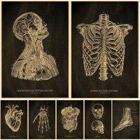 ☇◘﹉ ซื้อสามแถมสี่ Anatomy Chalkboard โปสเตอร์พิมพ์ส่วนของร่างกายหัวใจมือเท้าวาด Vintage Home Room Art Wall Decor ภาพวาด