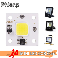 Phlanp 10วัตต์ซังโมดูล220โวลต์ LED ชิปไดโอดโคมไฟหลอดไฟสำหรับสปอตไลกลางแจ้งสวนแบบบูรณาการแสงลูกปัด L Ampada DIY แสง