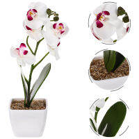 BESTOMZ สมจริง phalaenopsis faux faux faux orchid ในหม้อดอกไม้ปลอมสำหรับตาราง