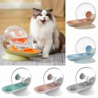 Supplies ABS Stainless steel Dry And Wet Separation Pet Water Feeder Food Container Cat Water Dispenser Cat Dog Bowl