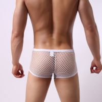 【CW】 Men  39;s Panties G-string Boxers See Through Low-waist Underpants Erotic Briefs