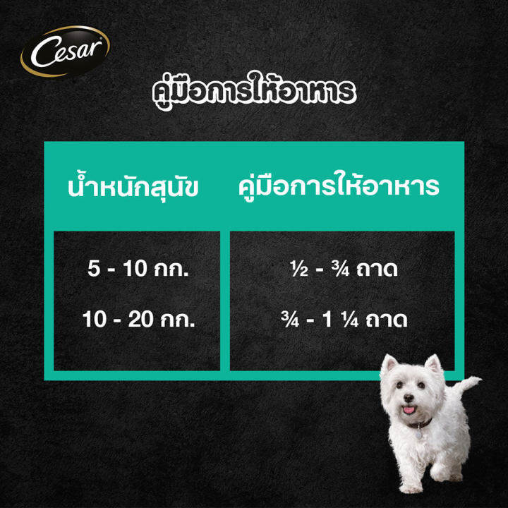 ส่งฟรี-ขายดี-cesar-ซีซาร์-อาหารเปียกสุนัข-แบบถาด-อาหารสุนัขพรีเมียม-แพ็ก-24-100-ก