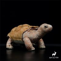 Galapagos Tortoise High Fidelity Anime Cute Plushie Turtles Plush Toys Lifelike Animals Simulation Stuffed Doll Kawai Toy Gifts