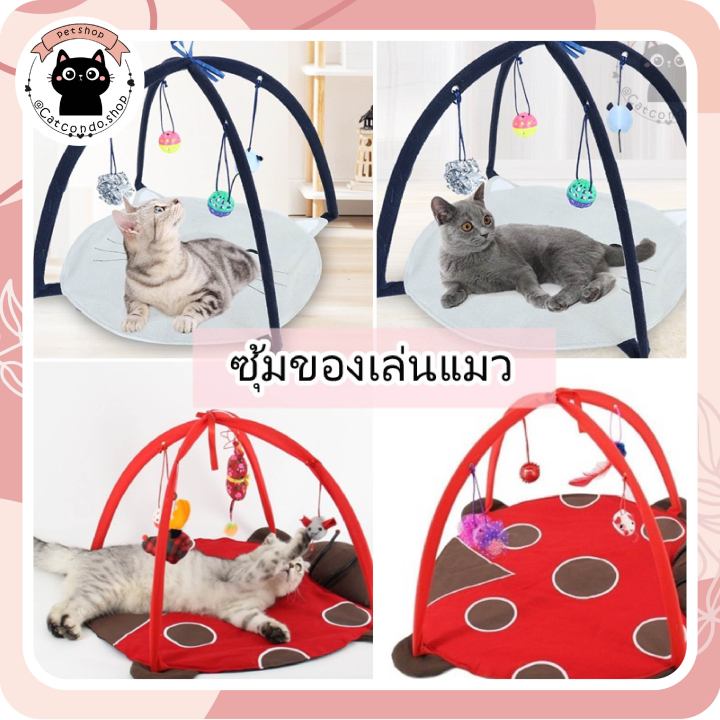 ของเล่นแมว-ที่นอนแมว-ซุ้มแมว-บ้านแมว