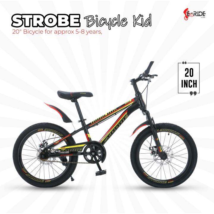 brake disc basikal