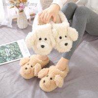 ready stockCotton slippers Teddy dog ​​winter home couple indoor non-slip cute new female student dormitory Korean version