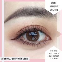 ⚡️ มีค่าสายตา ⚡️ลายดังTiktok คอนแทคเลนส์ Montra Lens มนตรา Athena Gray Brown แถมตลับ แบบบิ๊กอายตาโต สายตาปกติ และ ค่าสายตาสั้น