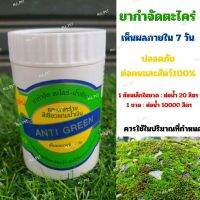 ยากำจัดตะไคร่-น้ำเขียว ANTI GREEN บรรจุ 200มล.