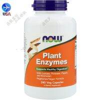 จุด Now Foods เอนไซม์ย่อยอาหารจากพืชที่ครอบคลุม Plantenzymes โปรตีนแป้งแลคโตสไฟเบอร์240เม็ด