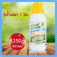 เอมม่า ปุ๋ยน้ำเอมม่า ( 1 ลิตร ) ป้องกันการเกิดเชื้อราในพืช