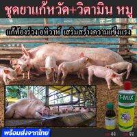 ชุดสุดคุ้ม! [สินค้าขายดี!] วิตามินน้ำ + ยาหมูท้องเสีย แก้หวัดหมู อหิวาห์ ท้องร่วง ขี้ขาว ขี้เหนียว ปวดบวม แก้ระบบทางเดินหายใจ ระบบทางเดินอาหาร ส่งเสริมสุขภาพดี ยาหมูป่วย เหมาะกับสัตว์ปีกและสุกร เอนโร 100ml + ทีมิกส์ 500m. มีเก็บเงินปลายทาง