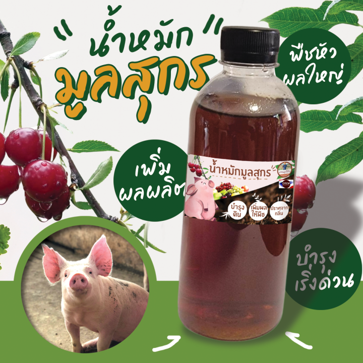 น้ำหมักขี้หมู-น้ำหมักสุกรเข้มข้น-ขี้หมูแท้-100-ขนาด-500-ml