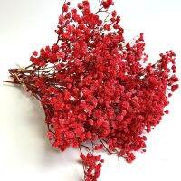 Red Babys Breath Dried Flowers Vase,Home Decor,Vintage,Romantic Decor,Versatile Flowers.Holiday Themes and DIY Crafts,new year