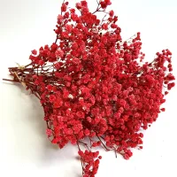 Red Babys Breath Dried Flowers Vase,Home Decor,Vintage,Romantic Decor,Versatile Flowers.Holiday Themes and DIY Crafts,new year