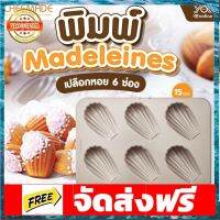 พิมพ์ Madeleines เปลือกหอย 6ช่อง CHEFMADE(WK9 9) หยกออน อุปกรณ์เบเกอรี่ ทำขนม bakeware จัดส่งฟรี เก็บปลายทาง