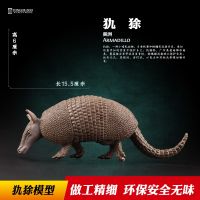 TongDe armadillo model simulation wildlife toys model solid childrens cognitive puzzle