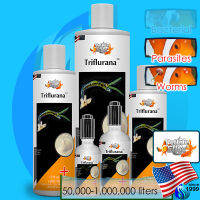 ? PetLifeElite Triflurana 50ml น้ำยากำจัดหนอน พยาธิ เห็บ ปรสิต เชื้อรา ในบ่อปลา ปลอดภัยกับสัตว์ทุกชนิด ไม่มีส่วนผสมสารดีดีที เช่น ดีมีลีน หรือ sites