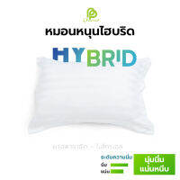 Hybrid หมอนยางพารา ลูกผสมเส้นใยโพลีเอสเตอร์ ทรง Standard ใบใหญ่ สำหรับคนชอบหมอนสูง