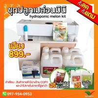 ?(Flash-Sale) ชุดปลูกเมล่อนมินิ ระบบน้ำวนไฮโดรโปนิกส์ (ชุดปลูกไฮโดรโปนิกส์) by hydroponicgroup ส่งเร็ว?