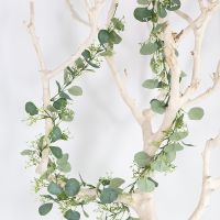 [COD] Cross-border European and 2m eucalyptus leaf vine encryption lengthening artificial plant money factory wholesale flower