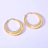 Vnox Trendy Hoop Earrings Stainless Steel Earring Jewelry Gift for Women