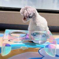 Its So Beautiful! Miss Meow Neck Care Laser Table Colorful Double Bowl Acrylic Cat and Dog Food Basin Pet Supplies