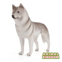 Animal Kingdom - โมเดล Dog หมา สุนัข ไซบีเรียน เทา ขนาด 17.00 CM (จากสงขลา)