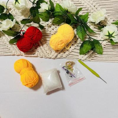 DIY Crochet Kit Beginner Set DIY Wool Felt Poked Needle Handcraft Bag For Needle V2P4