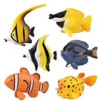 6ชิ้น/เซ็ต Mini Tropical Fish ชุด Clownfish Angelfish Foxface Lo Action Figure Decor การศึกษาเรียนรู้ Cognitive ของเล่นสำหรับเด็ก