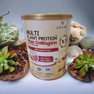 Chame Multi Plant Protein Plus Collagen 400g