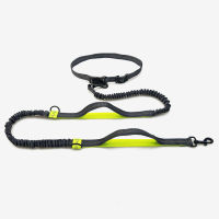 New Reflective Leash Traction Rope Pet Dog Running Belt Elastic Hands Freely Jogging Pull Dog Leash Metal D-ring Leashes