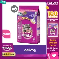 WHISKAS CAT DRY POCKET JUNIOR MACKERAL 1.1 KG วิสกัส อาหารแมวชนิดแห้ง แบบเม็ด พ็อกเกต สูตรลูกแมว รสปลาทู 1.1 กิโลกรัม อาหารสัตว์เลี้ยง อาหารแมว อาหารเม็ดสำหรับแมว อาหารเม็ด x 6