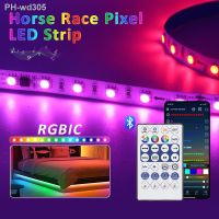 RGB IC Horse Race LED Strip Light DC 24V Dream Color 60 Pixel 5M 10M 20M Addressable Tape Lamp Bluetooth Controller with Remote