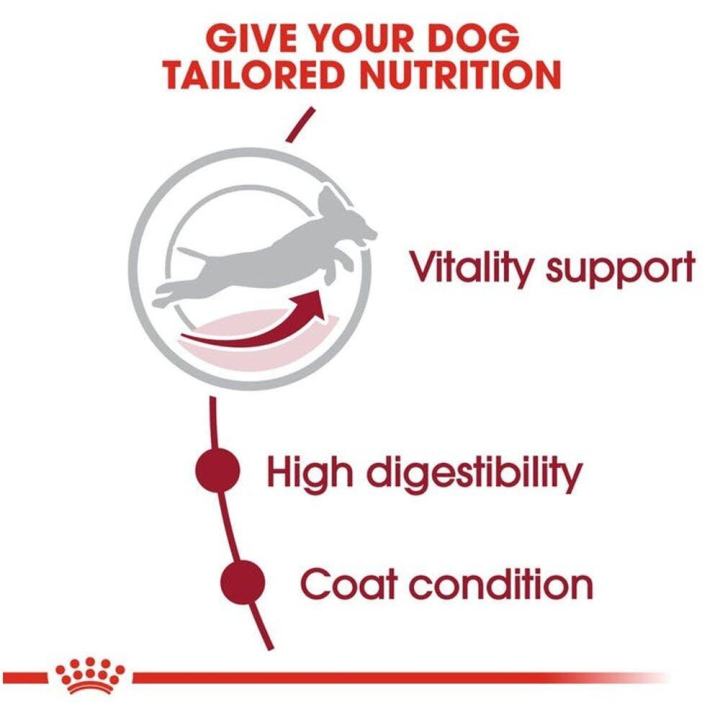 royal-canin-medium-adult-7-dog-food-อาหารสุนัขแก่-อาหารหมากระสอบ-สุนัขพันธ์กลาง-อายุ-7-ปี-10-กก