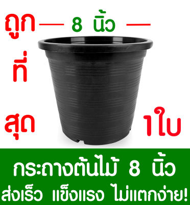 กระถางต้นไม้ กระถางพลาสติก ขนาด 8 นิ้ว 1ใบ กระถางกลม กระถางต้นไม้พลาสติก กระถางปลูกต้นไม้ กระถางดำ กระถางพลาสติกดำ Flower pot