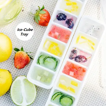 Thin Ice Tray - Best Price in Singapore - Nov 2023